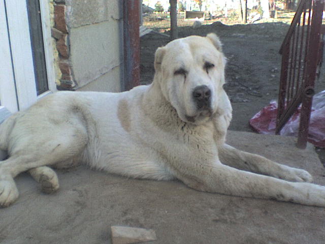 DSC00354.JPG