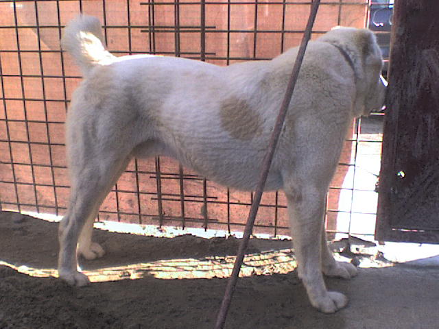 DSC00365.JPG