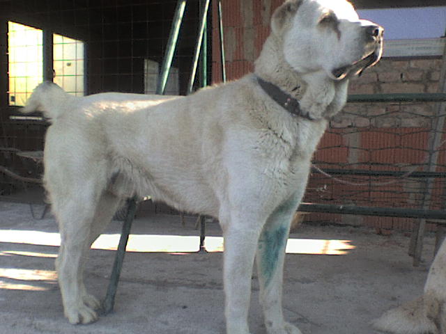 DSC00372.JPG