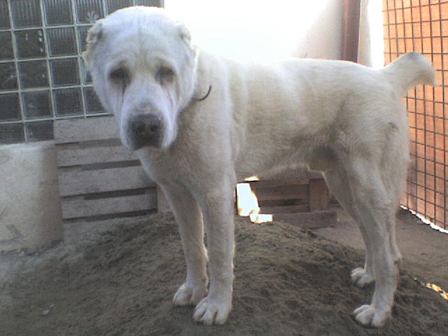 DSC00370.JPG